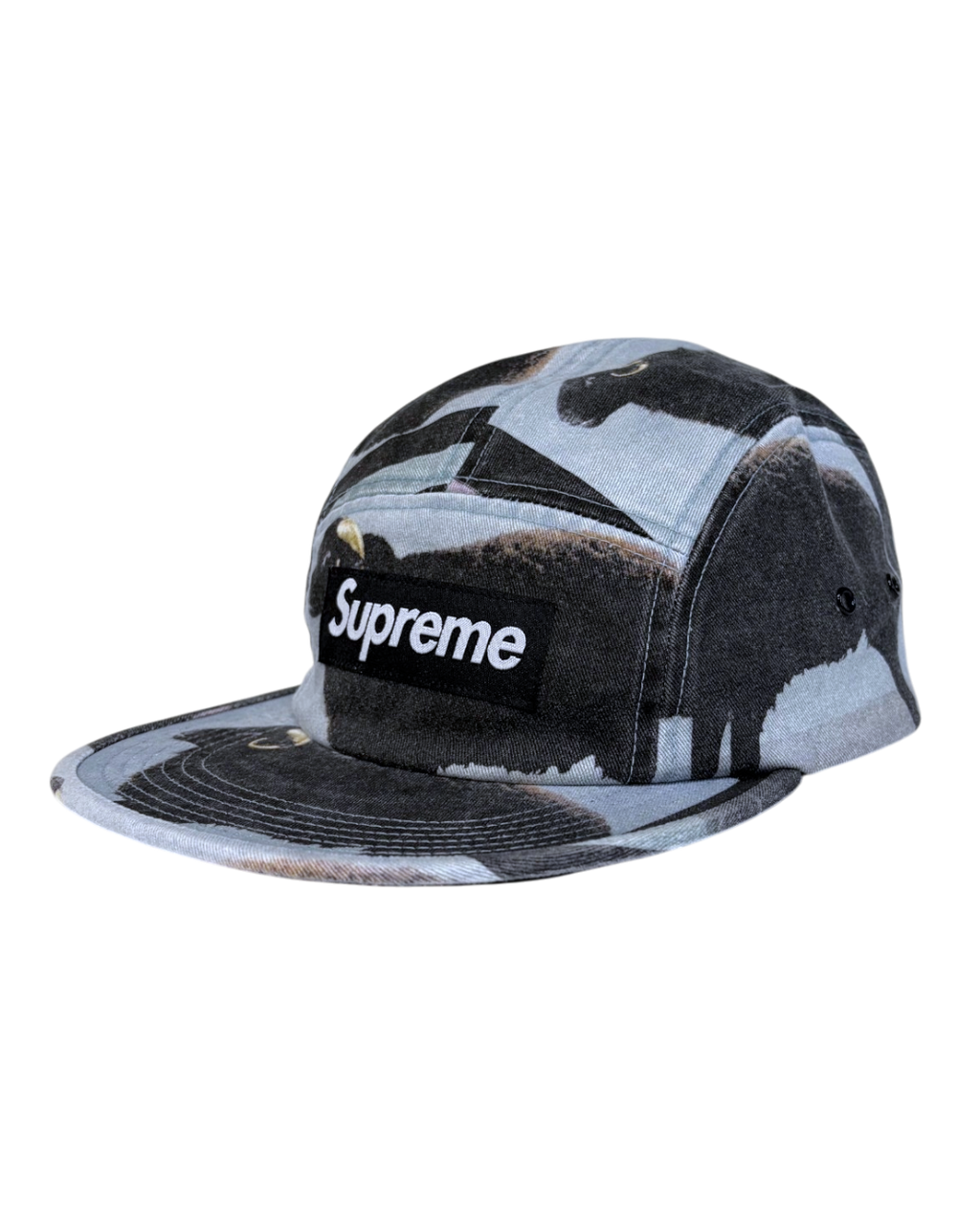 Supreme 5-Penal Bleu/Black Cap